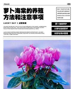 纯净水可以养花吗，了解水质影响，掌握正确方法