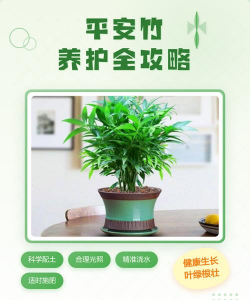 家里养花的心情说说，分享美好瞬间，感受生活温暖