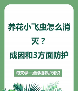 养花知识大全及图片，新手入门指南，常见问题解答