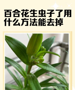 贵州养殖场，选址很关键，管理要跟上