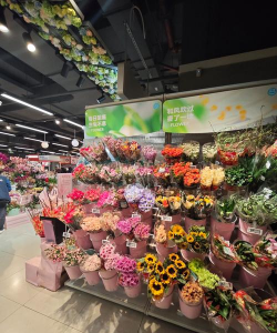 贵州养殖场，选址很关键，管理要跟上