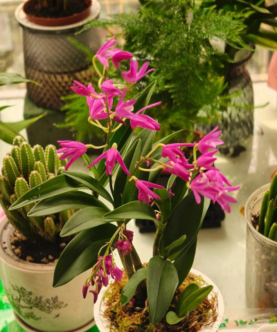 西安养殖场，选址要点，运营关键