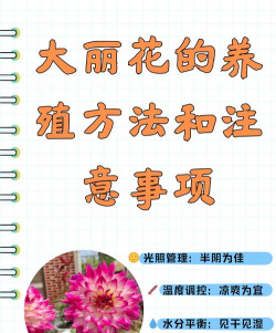 西安养殖场，选址要点，运营关键