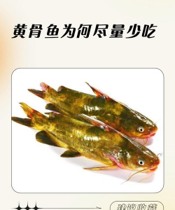 山东水产养殖，提升养殖效益，掌握关键技术