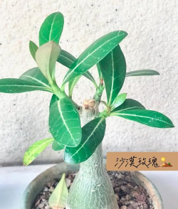 山东水产养殖，提升养殖效益，掌握关键技术