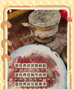 香灰能养花吗，了解实际效果，避免常见误区