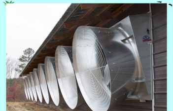 养殖风机，通风降温，提升养殖效益