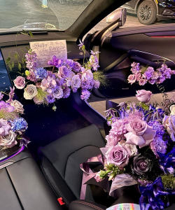 车载养花，轻松美化车内空间，提升驾驶心情