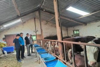 大米养花，废物利用，简单有效