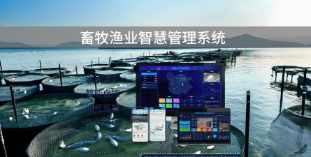 大米养花，废物利用，简单有效