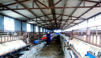 养花自制土，省钱又实用，轻松搞定花土