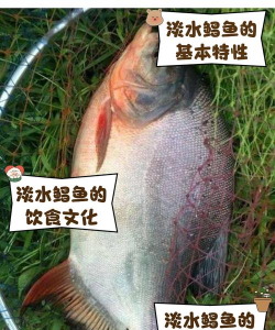 昆明花卉批发，货源渠道多，价格优势大