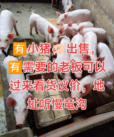 昆明花卉批发，货源渠道多，价格优势大