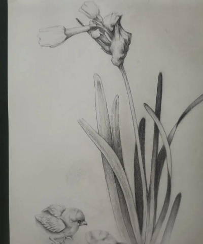 昆明花卉批发，货源渠道多，价格优势大