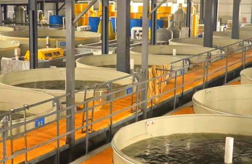 昆明花卉批发，货源渠道多，价格优势大