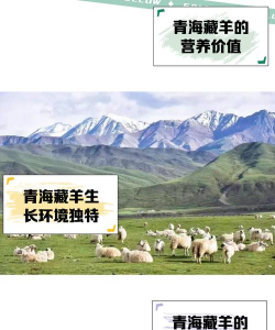 昆明花卉批发，货源渠道多，价格优势大