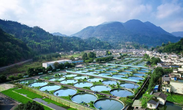 昆明花卉批发，货源渠道多，价格优势大