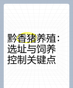 贵州养殖场，选址很关键，管理要跟上