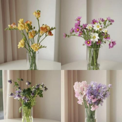 养花的花瓶，挑选合适款式，提升家居美感