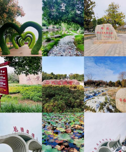 昆明花卉批发，货源渠道多，价格优势大