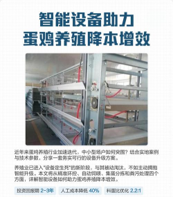 用水养花，简单易学，新手也能轻松上手