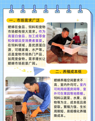 用水养花，简单易学，新手也能轻松上手