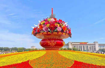 用水养花，简单易学，新手也能轻松上手