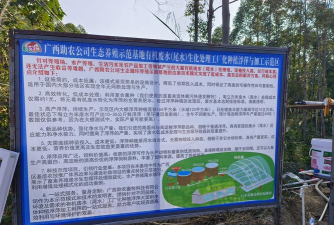 用水养花，简单易学，新手也能轻松上手