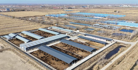 用水养花，简单易学，新手也能轻松上手