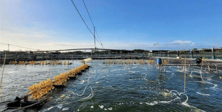 用水养花，简单易学，新手也能轻松上手