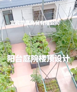 用水养花，简单易学，新手也能轻松上手