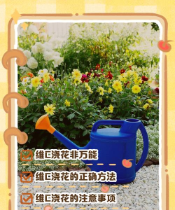 广西怡养花园大酒店，住宿体验分享，真实感受告诉你