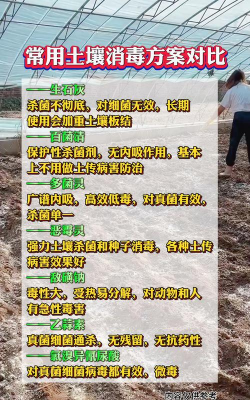养花的土怎么消毒，常见方法对比，选择建议