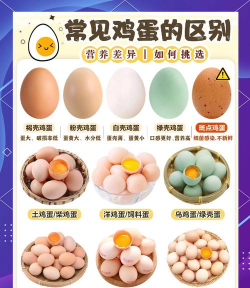 用水养花，简单易学，新手也能轻松上手