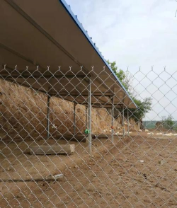 养花，新手入门指南，轻松掌握技巧