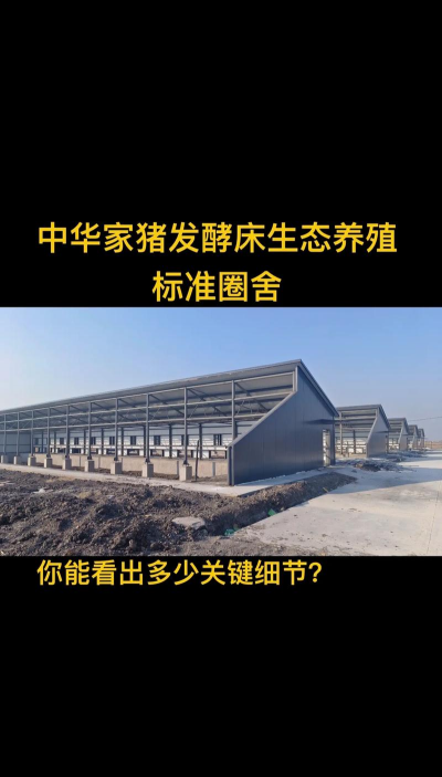 养花，新手入门指南，轻松掌握技巧