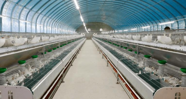 西安养殖场，选址要点，运营关键