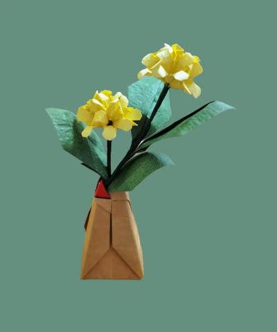 小众送妈妈的花有哪些花