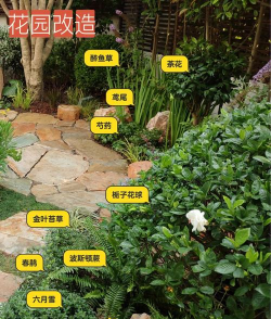 养花的见解，新手入门指南，轻松打造花园