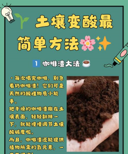 醋与养花，改善土壤酸碱，促进植物生长