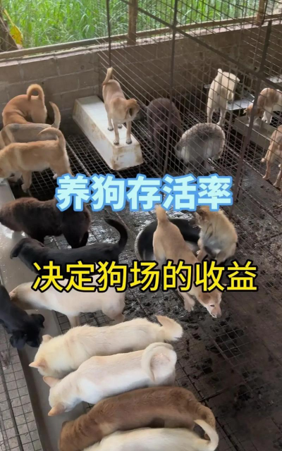 西安养殖场，选址要点，运营关键