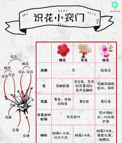 西安养殖场，选址要点，运营关键