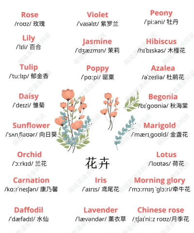 昆明花卉批发，货源渠道多，价格优势大