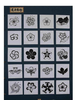 昆明花卉批发，货源渠道多，价格优势大