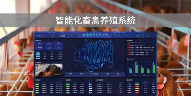 智能养殖系统，提升养殖效率，降低人工成本