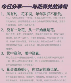赞美养花人的句子，传递温暖心意，表达由衷敬意