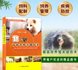 貉子养殖,掌握关键技巧,实现高效收益 貉子养殖,掌握关键技巧,实现高效收益