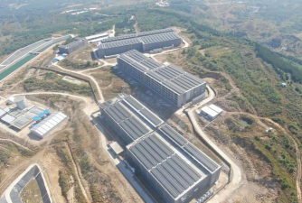 用水养花，简单易学，新手也能轻松上手