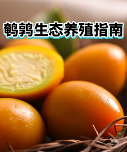 用水养花，简单易学，新手也能轻松上手