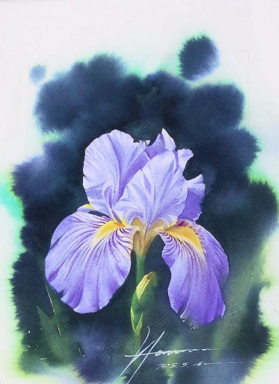 用水养花，简单易学，新手也能轻松上手